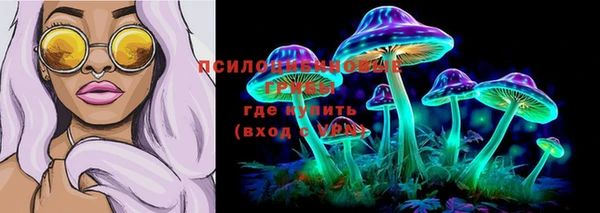 молекула духа Армянск